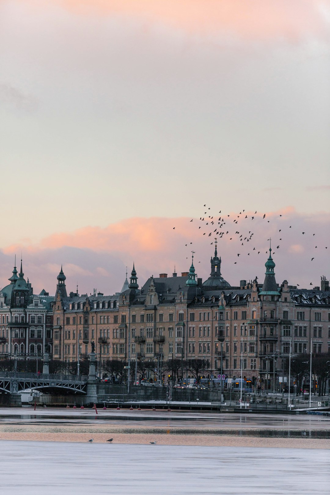 Swedish insurance contract signing